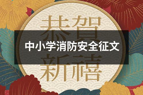 中小学消防安全征文