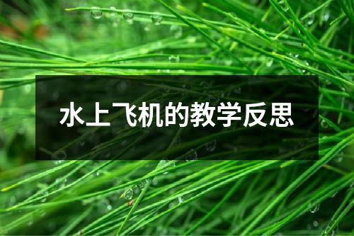 水上飞机的教学反思