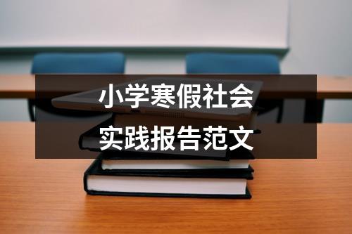 小学寒假社会实践报告范文