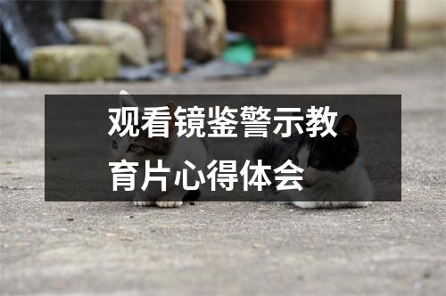 观看镜鉴警示教育片心得体会