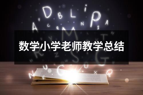 数学小学老师教学总结