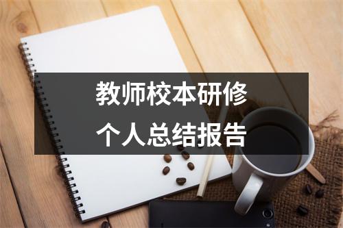 教师校本研修个人总结报告