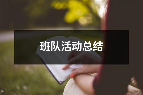 班队活动总结