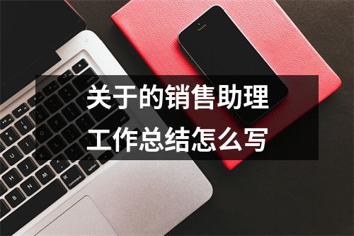 关于的销售助理工作总结怎么写