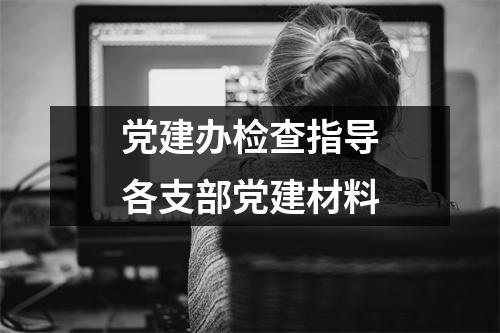 党建办检查指导各支部党建材料