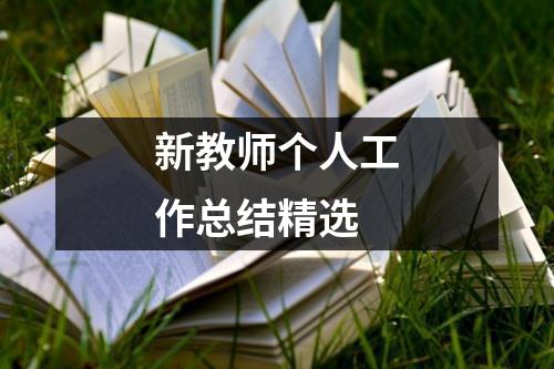 新教师个人工作总结精选