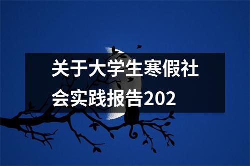 关于大学生寒假社会实践报告202