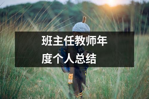 班主任教师年度个人总结