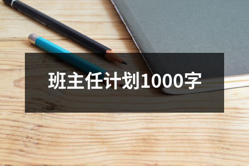 班主任计划1000字