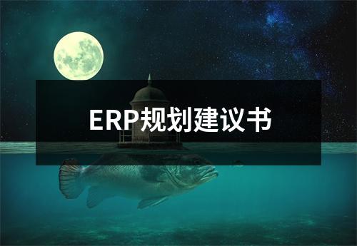 ERP规划建议书