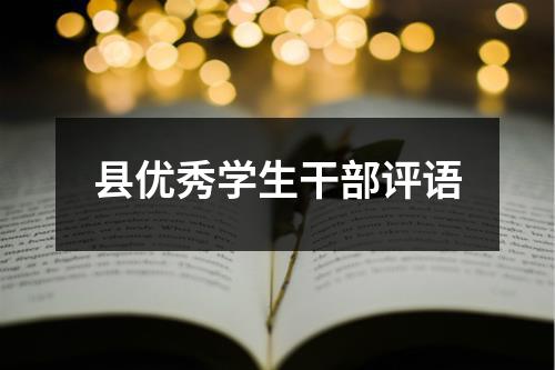 县优秀学生干部评语