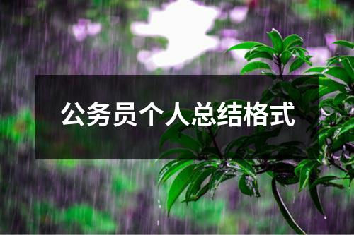 公务员个人总结格式