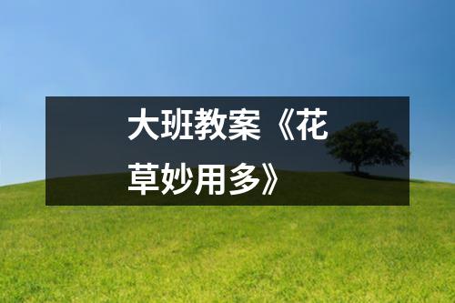 大班教案《花草妙用多》