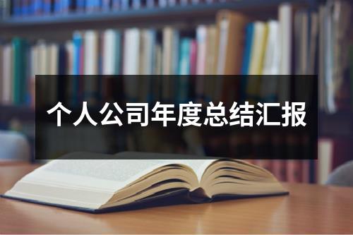 个人公司年度总结汇报