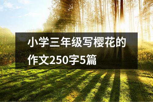 小学三年级写樱花的作文250字5篇