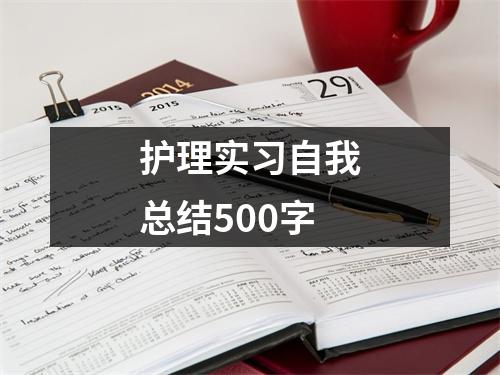 护理实习自我总结500字