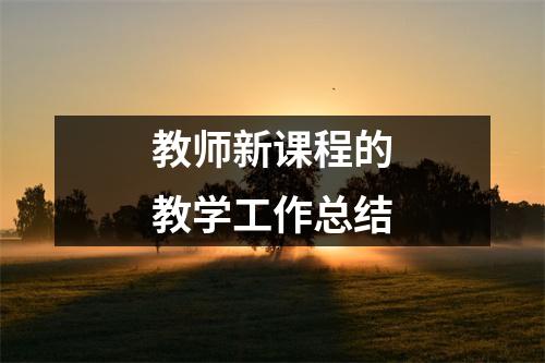 教师新课程的教学工作总结