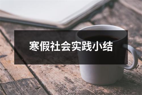 寒假社会实践小结