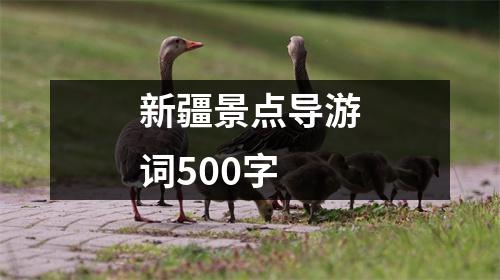 新疆景点导游词500字