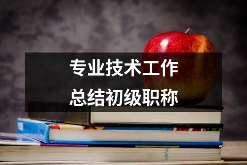 专业技术工作总结初级职称