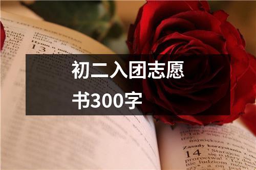 初二入团志愿书300字