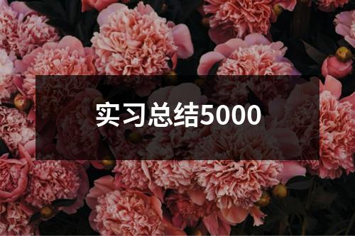 实习总结5000