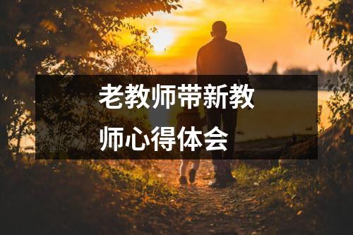 老教师带新教师心得体会