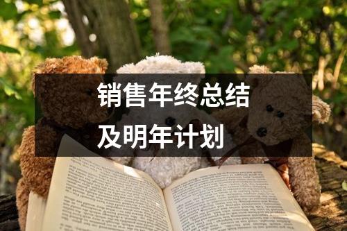 销售年终总结及明年计划