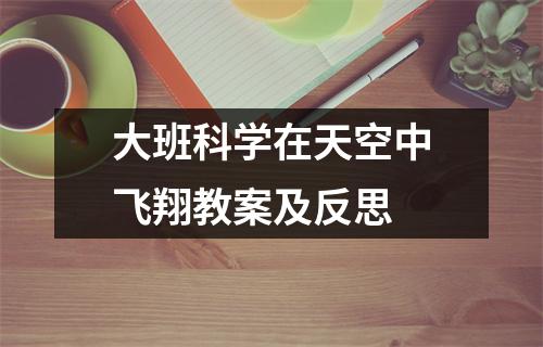 大班科学在天空中飞翔教案及反思