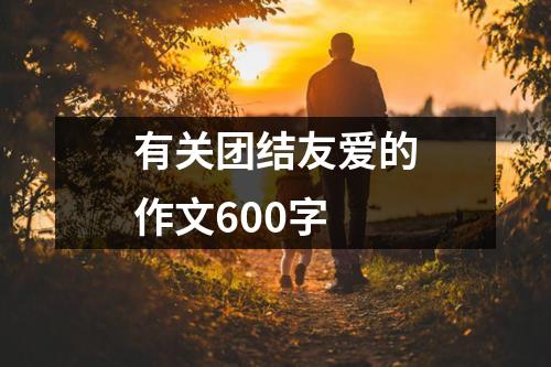 有关团结友爱的作文600字