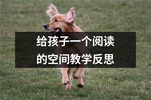 给孩子一个阅读的空间教学反思