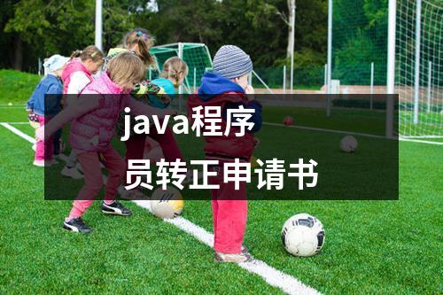 java程序员转正申请书