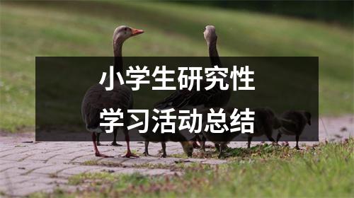 小学生研究性学习活动总结