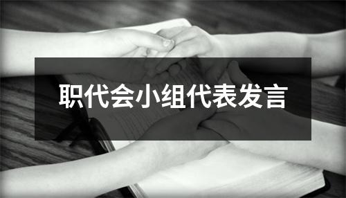 职代会小组代表发言