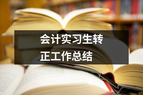 会计实习生转正工作总结