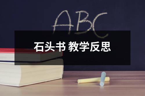 石头书 教学反思