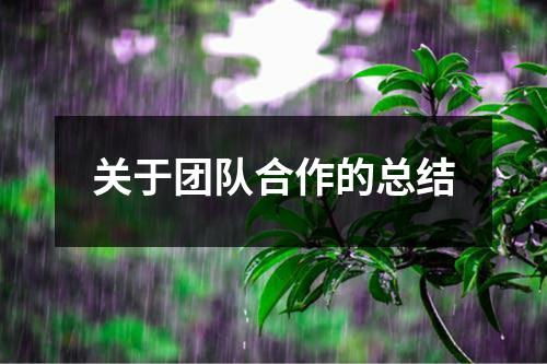 关于团队合作的总结