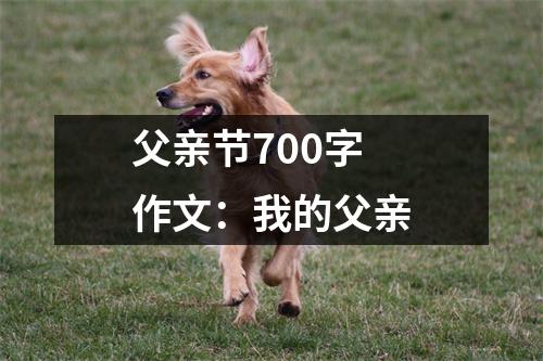 父亲节700字作文：我的父亲