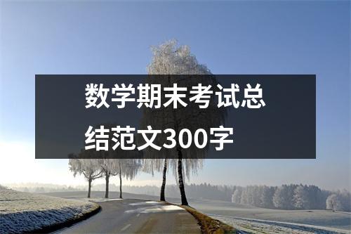 数学期末考试总结范文300字