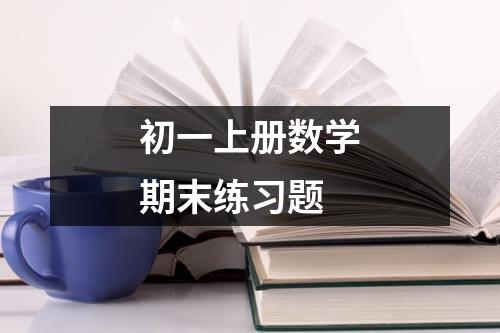 初一上册数学期末练习题