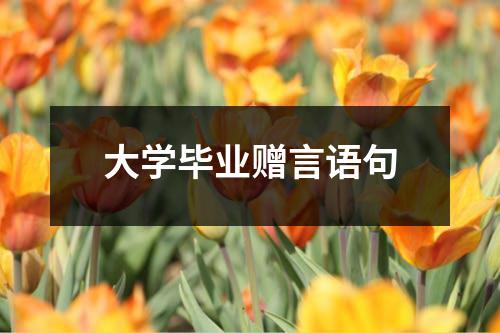 大学毕业赠言语句