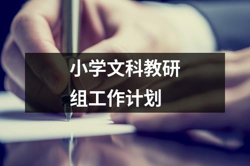 小学文科教研组工作计划