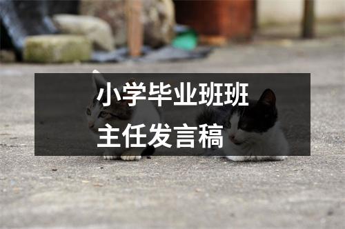 小学毕业班班主任发言稿