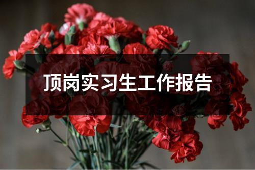 顶岗实习生工作报告