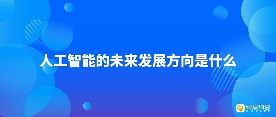 未来发展方向与潜在风险的全面评估